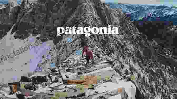 Patagonia Outdoor Gear Just Get On The Pill: The Uneven Burden Of Reproductive Politics (Reproductive Justice: A New Vision For The 21st Century 4)
