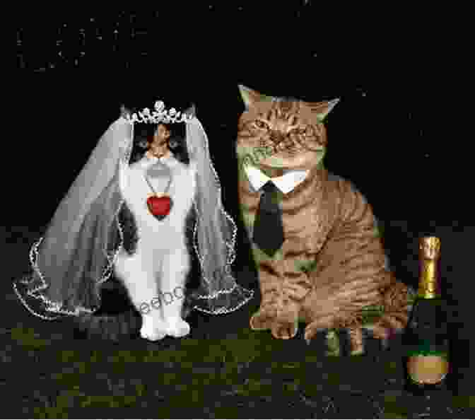 The Newlywed Cat And Her Husband, Mittens The Newlywed Cat (Cat Tales 5)