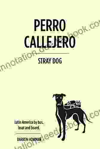 Perro Callejero (Stray Dog) Tom D Dillehay