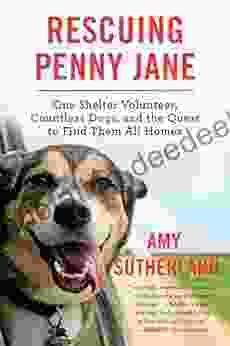 Rescuing Penny Jane: One Shelter Volunteer Countless Dogs And The Quest To Find Them All Homes