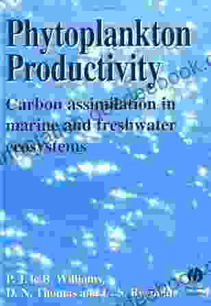Phytoplankton Productivity: Carbon Assimilation In Marine And Freshwater Ecosystems