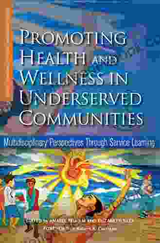 Promoting Health And Wellness In Underserved Communities: Multidisciplinary Perspectives Through Service Learning (Service Learning For Civic Engagement Series)