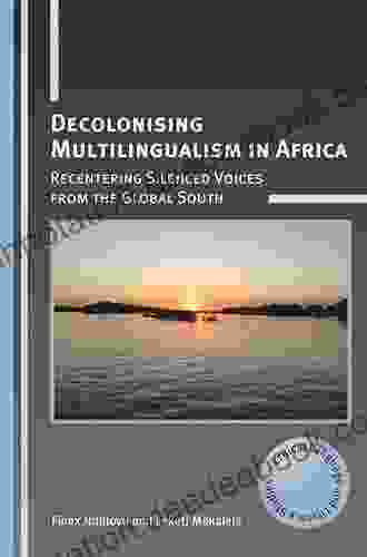 Decolonising Multilingualism In Africa: Recentering Silenced Voices From The Global South (Critical Language And Literacy Studies 26)
