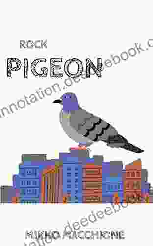 Rock Pigeon (No Such Thing As A Regular Bird 4)