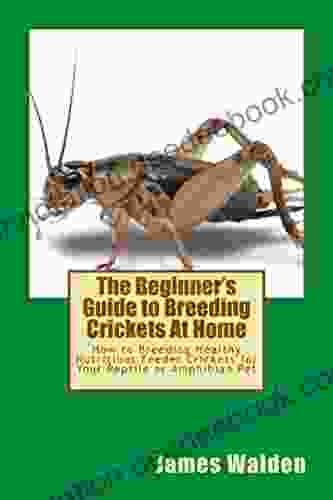 The Beginner S Guide To Breeding Crickets At Home: How To Breeding Healthy Nutritious Feeder Crickets For Your Reptile Or Amphibian Pet