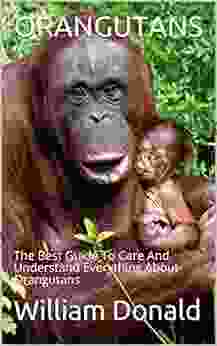ORANGUTANS: The Best Guide To Care And Understand Everything About Orangutans