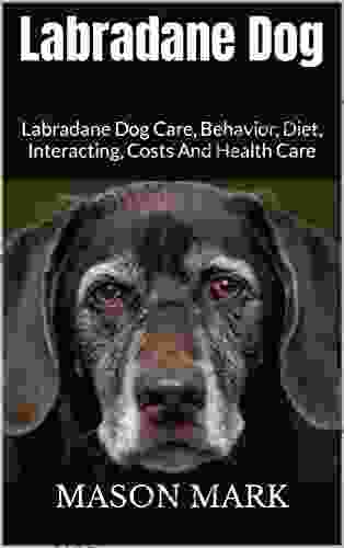 Labradane Dog : Labradane Dog Care Behavior Diet Interacting Costs And Health Care