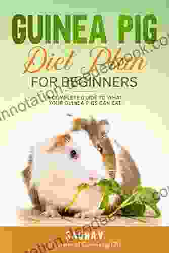 Guinea Pig Diet Plan For Beginners: A Complete Guide To What Your Guinea Pigs Can Eat