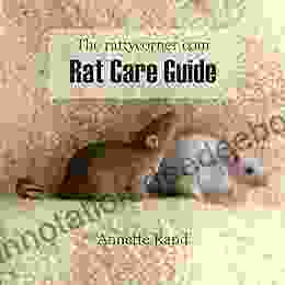 The Rattycorner Com Rat Care Guide